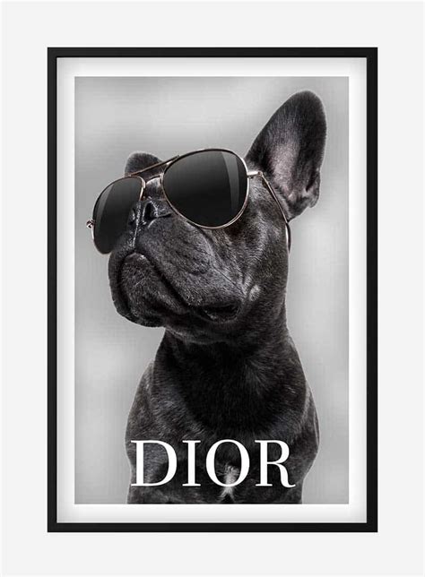 dior poster dog|DiorDog .